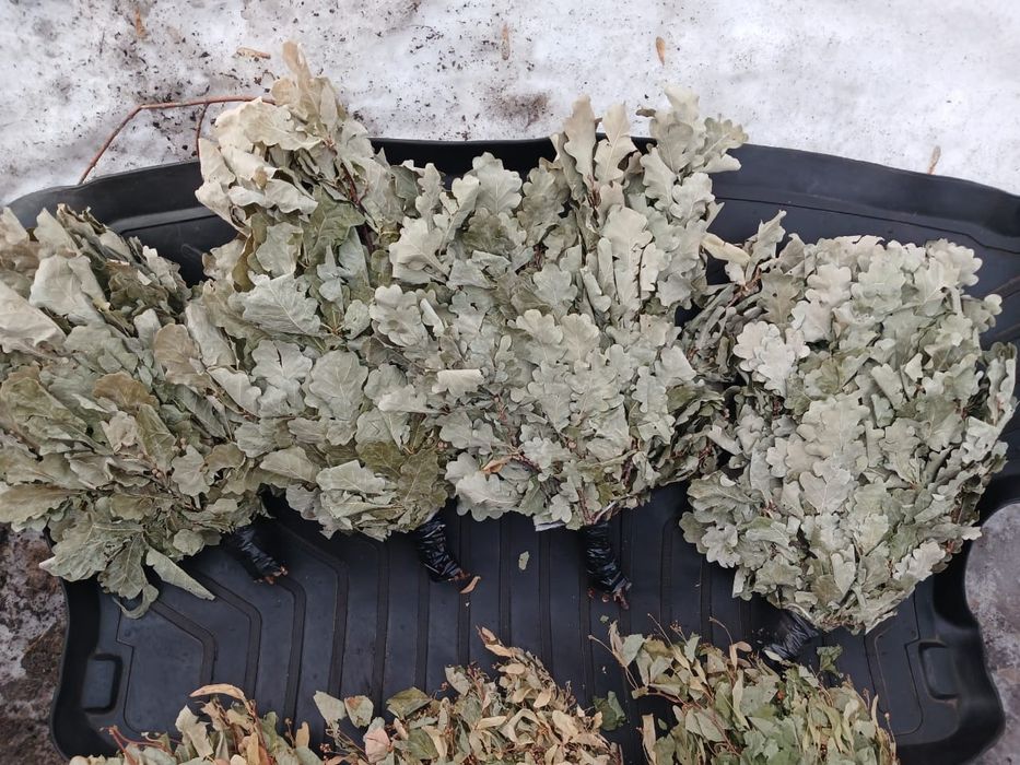 Веники банные липа, дуб, береза 1500