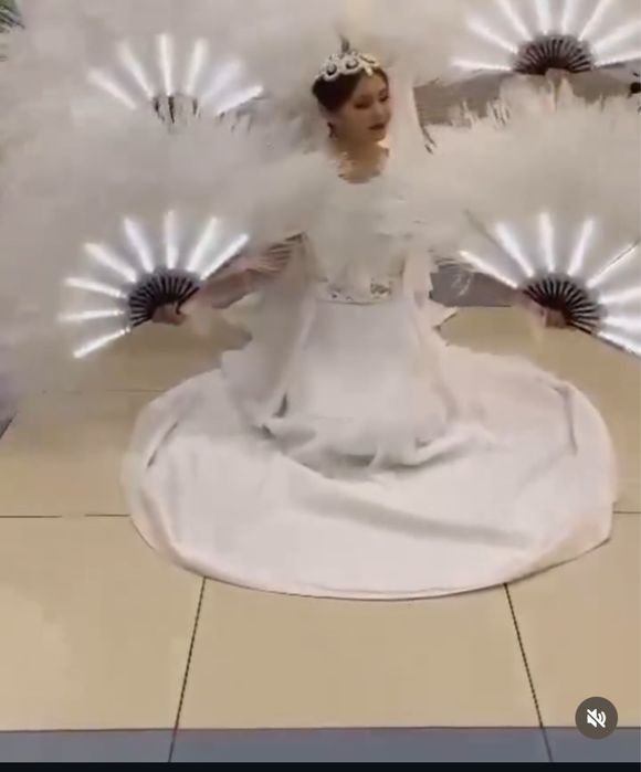 Веер продается в хорошем состояний