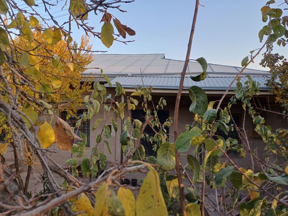 продаётся свой дом(участок) в чирчике