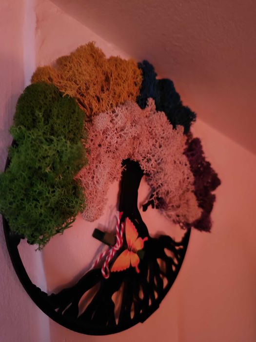 Masaj relaxare/anticelulitic/terapeutic/deep-tissue