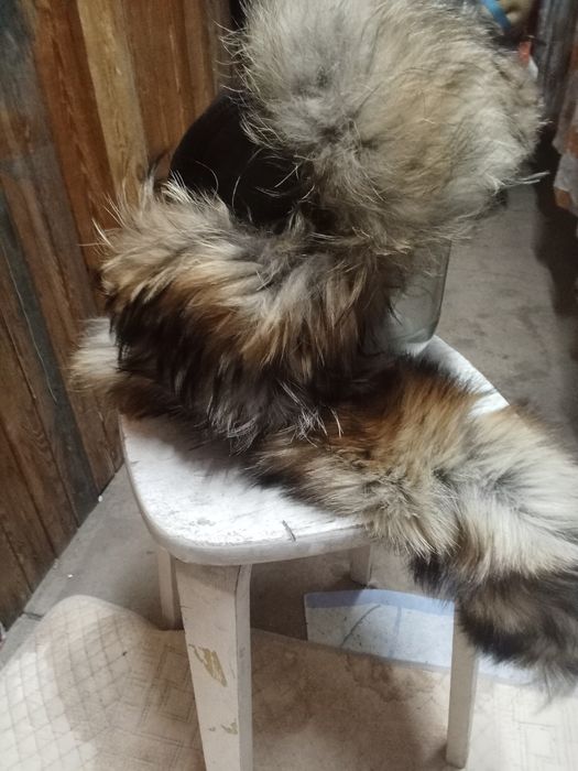 Продам малахай шапку