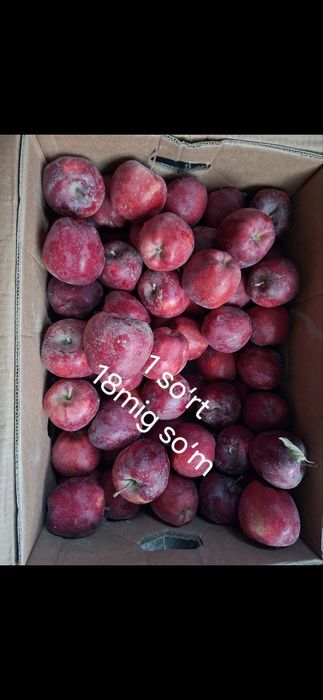 Olma sotiladi optim jizzaxnik