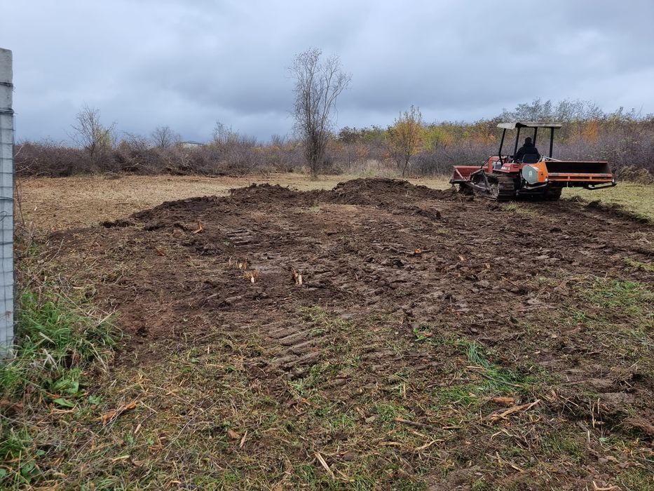 Curatare, întretinere teren, Defrisare, Tocare forestiera, vegetala,