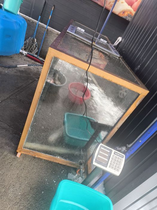 Аквариум сотилади катта ва кичик баликлар усун