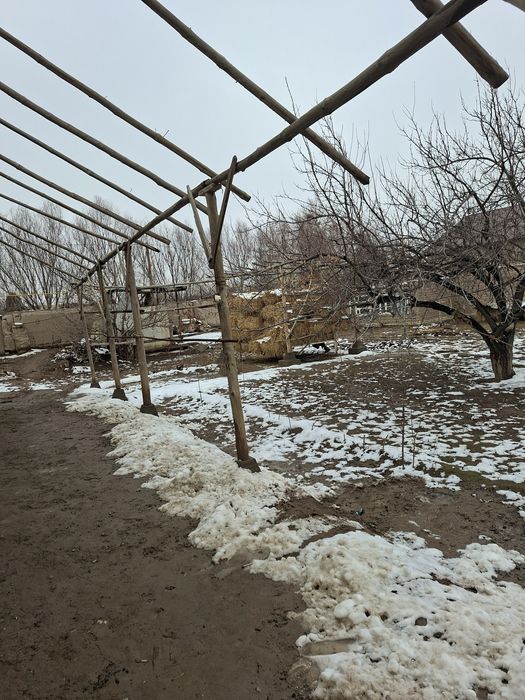 МАДИРда 4 сотик  жой урни20''20