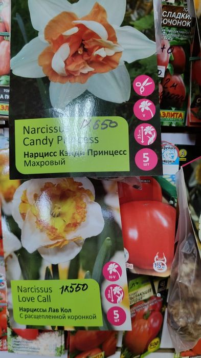 Тюльпаны и нарциссы