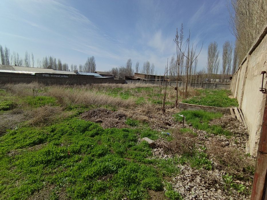 Quruq yer sotiladi 16.5 sotix  katej qurmoqchi bolganlaga zoʻr variant