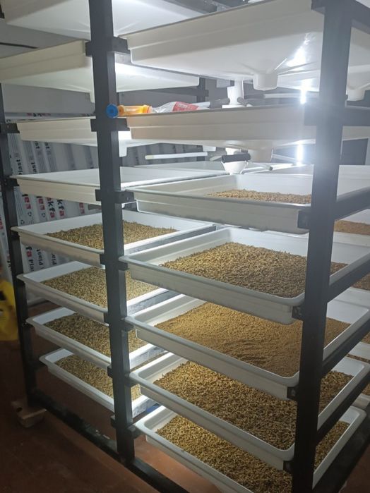 Бараны-Мини гидропонная установка