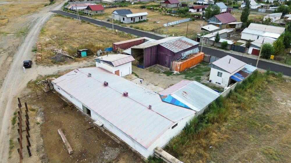 Откорм база в Бугре. Дамир Империя