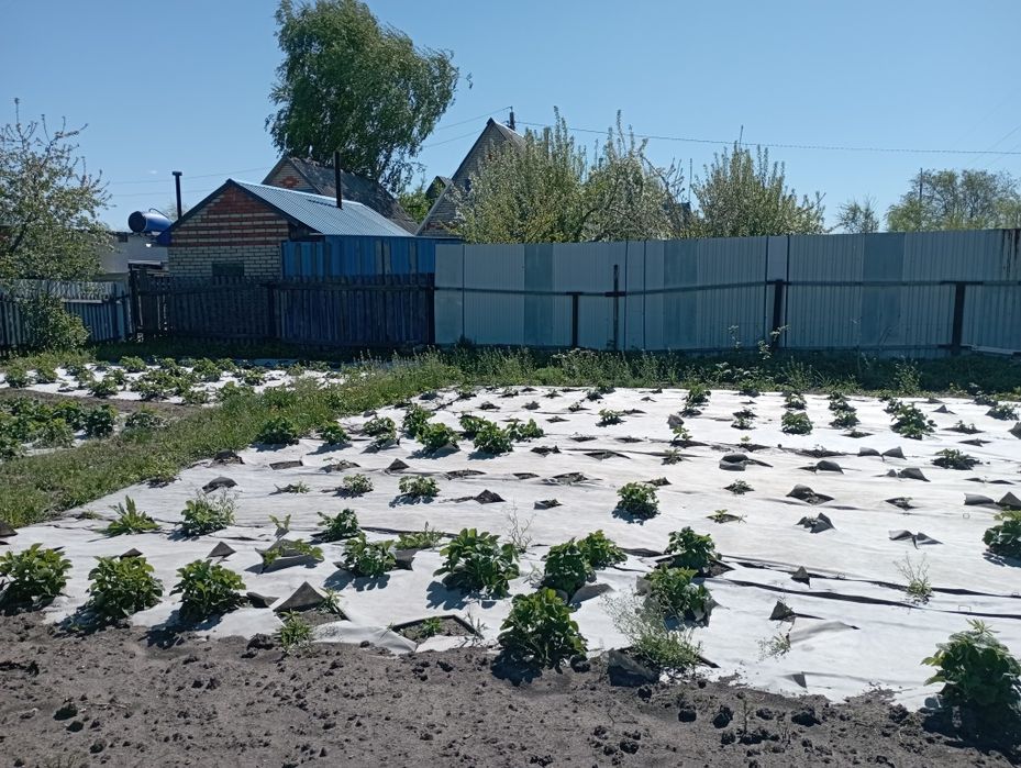 Продам дач 18маршрут