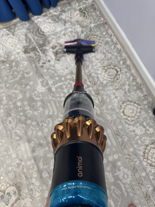 Dyson DS60 Piston Animal Submarine
