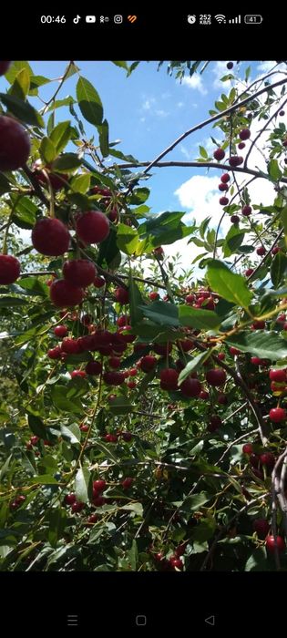 Продам дачу район ГМЗ