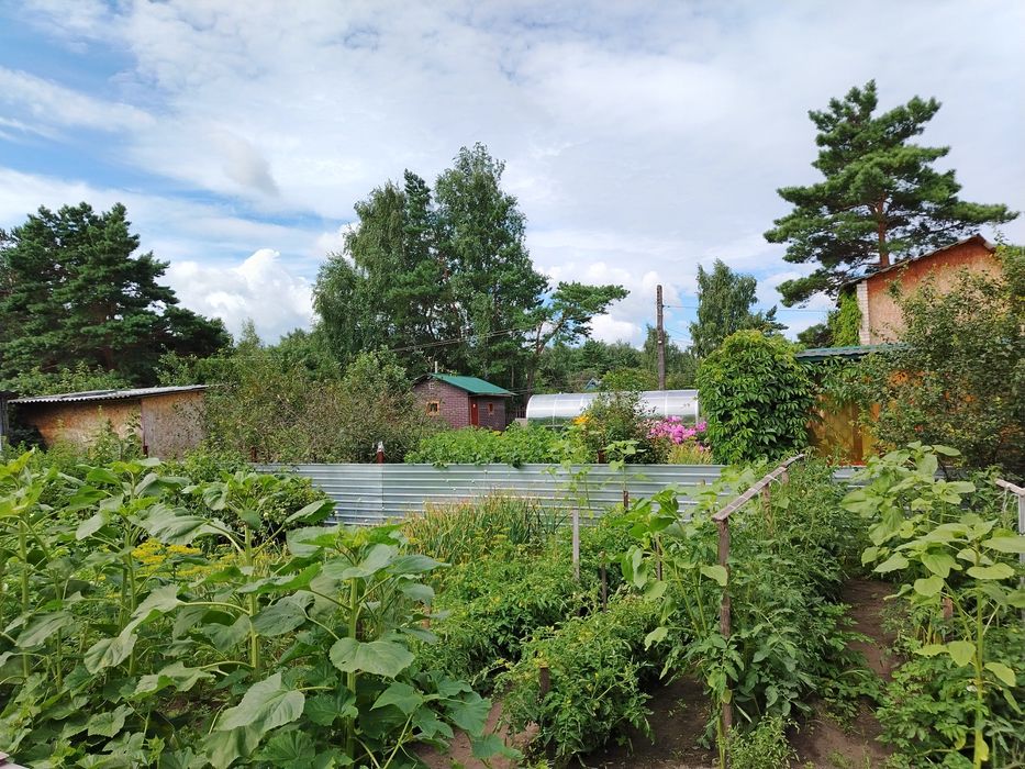 Продам дачу в с/о Веснянка