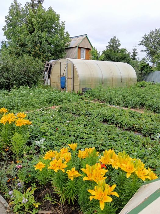 Продам дом в дачном обществе Садовод