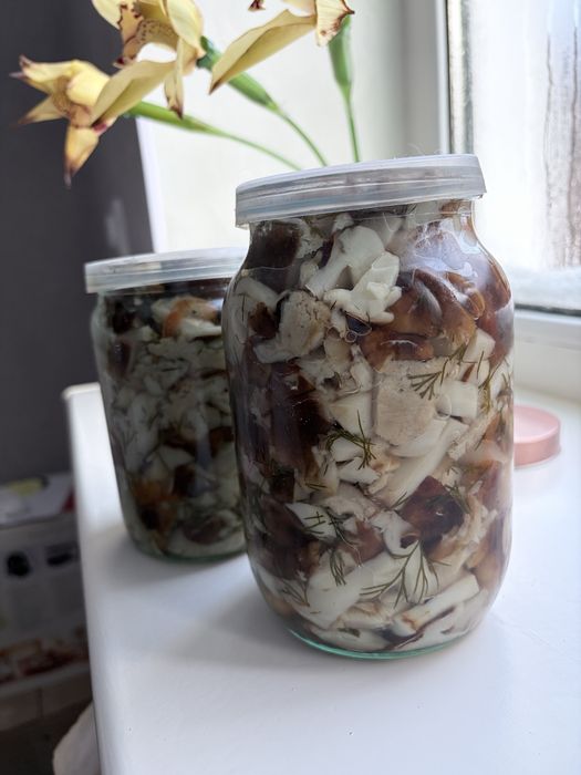 Грибочки соленые