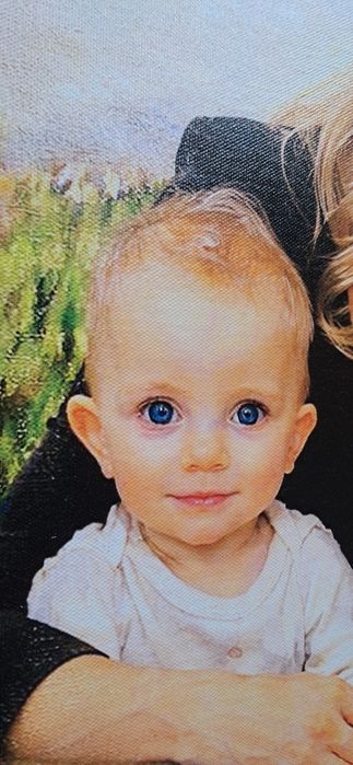 Tablou panza tablou canvas cadou