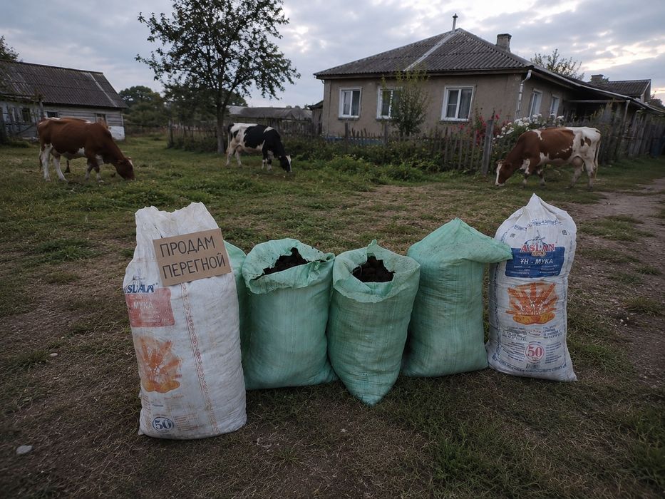 Продам перегной!