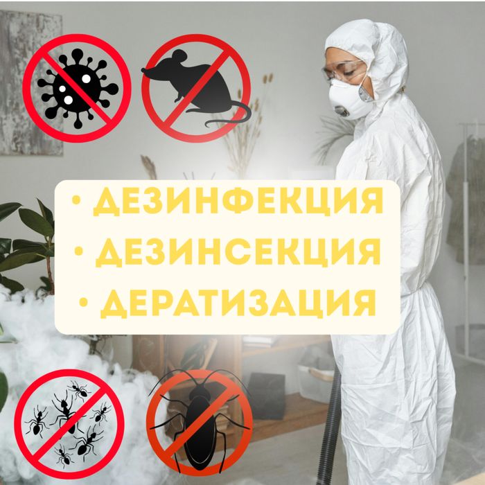 Дезинфекция, дезинсекция и дератизация от насекомых,грузынов вирусов