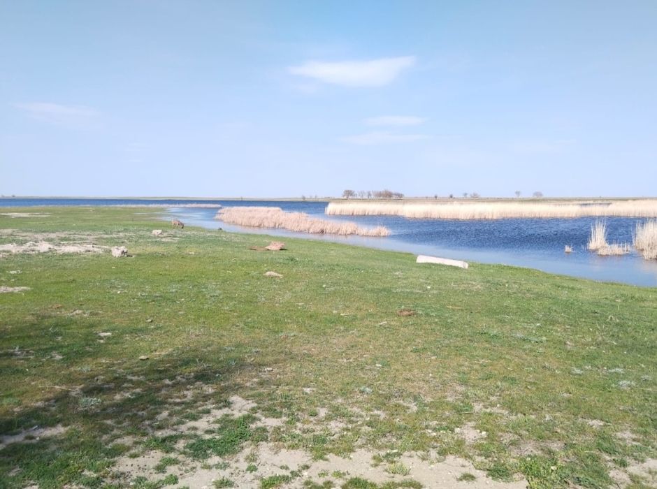 Фазенда продается недалеко от города Таразаз