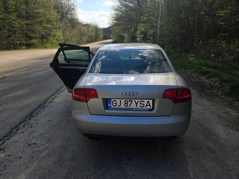 Audi a4 b7 1.9 tdi 0730073635