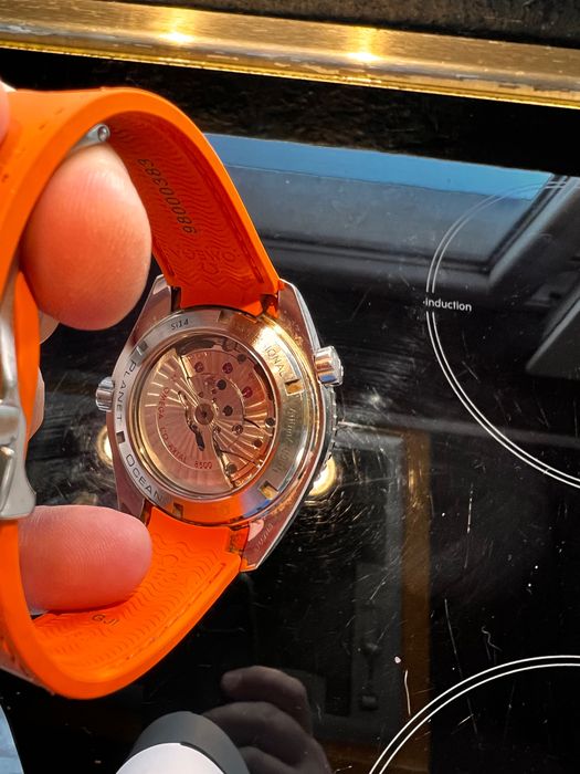 Omega Seamaster Planet Ocean
