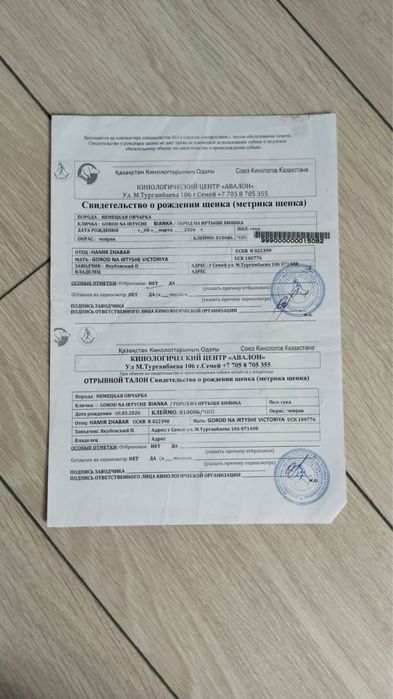 Продам немецкую овчарку