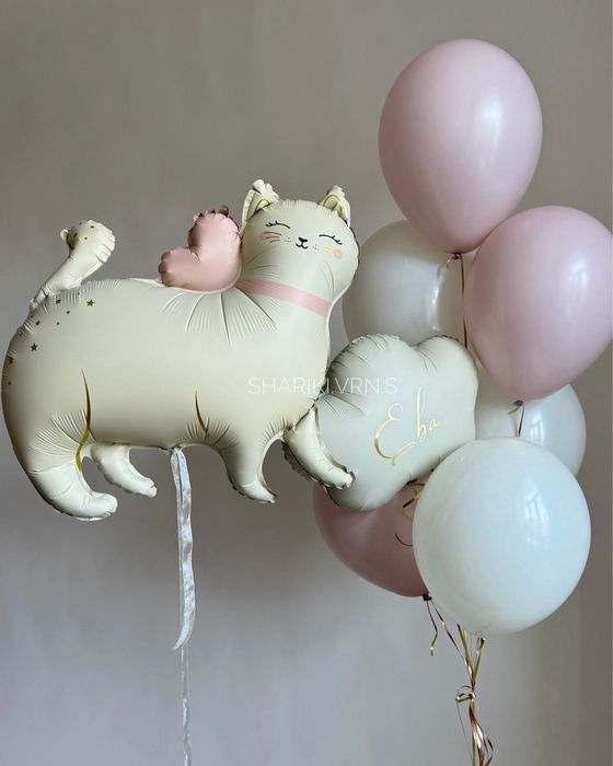 Воздушные шары | -10%