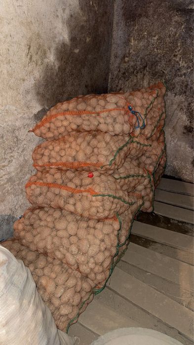 Vand cartofi de samanata