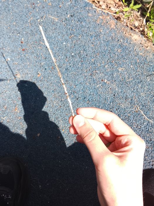 Отдаём палку в хорошие руки