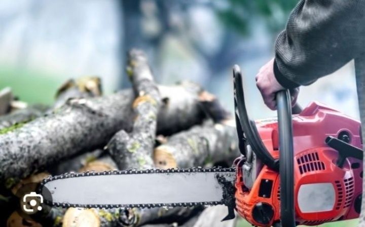 Спил деревьев, кронирование.