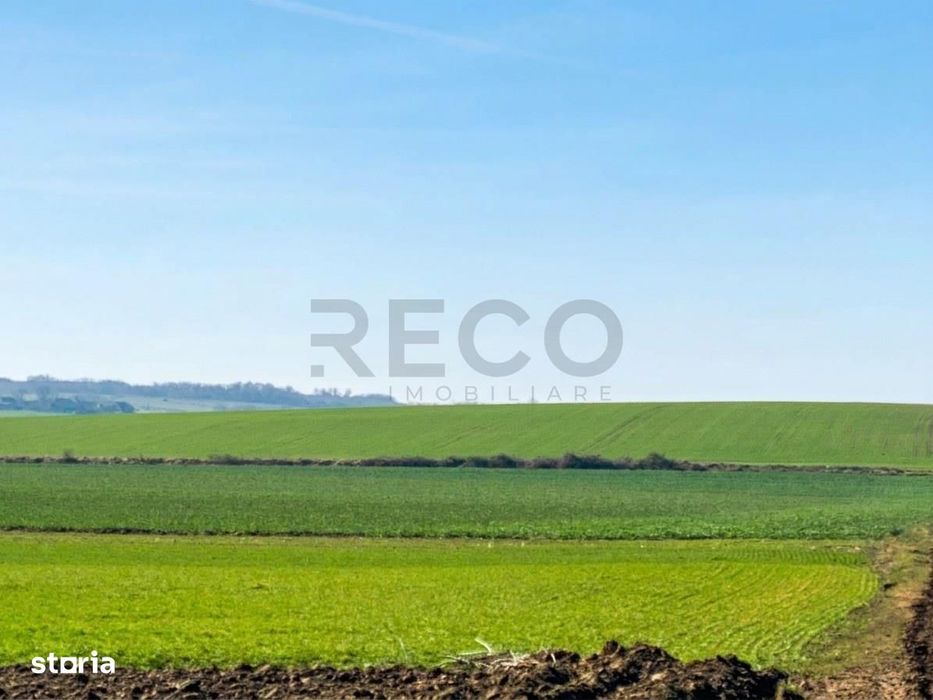 RECO Teren  pentru investitie  4ha Tauteu-Zona Autostrazii Transilvani
