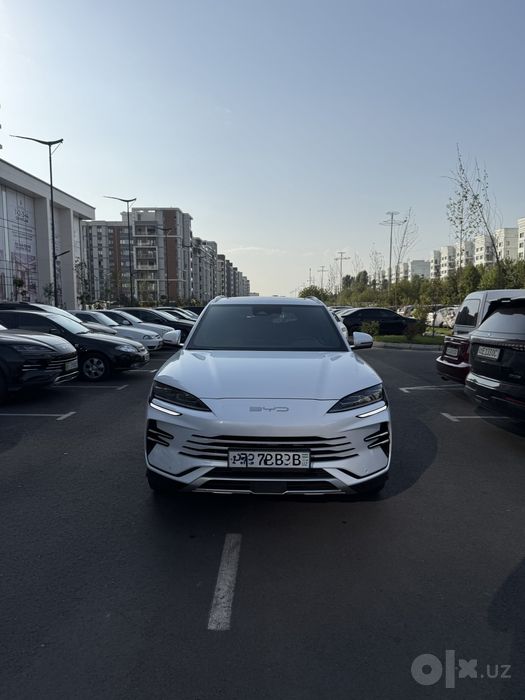 Byd chempion 2025