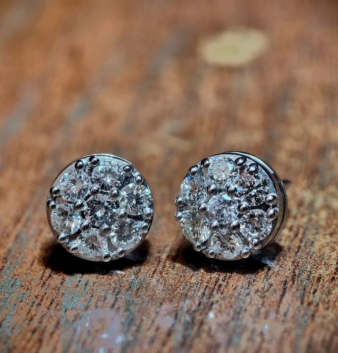 Гвоздики пуссеты