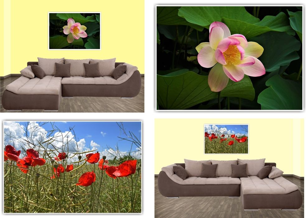 Tablouri Canvas 40x60 cm