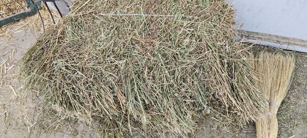 Сено, солома, клевер для VIP животных