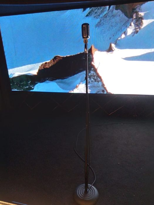 Аренда ретро микрофона