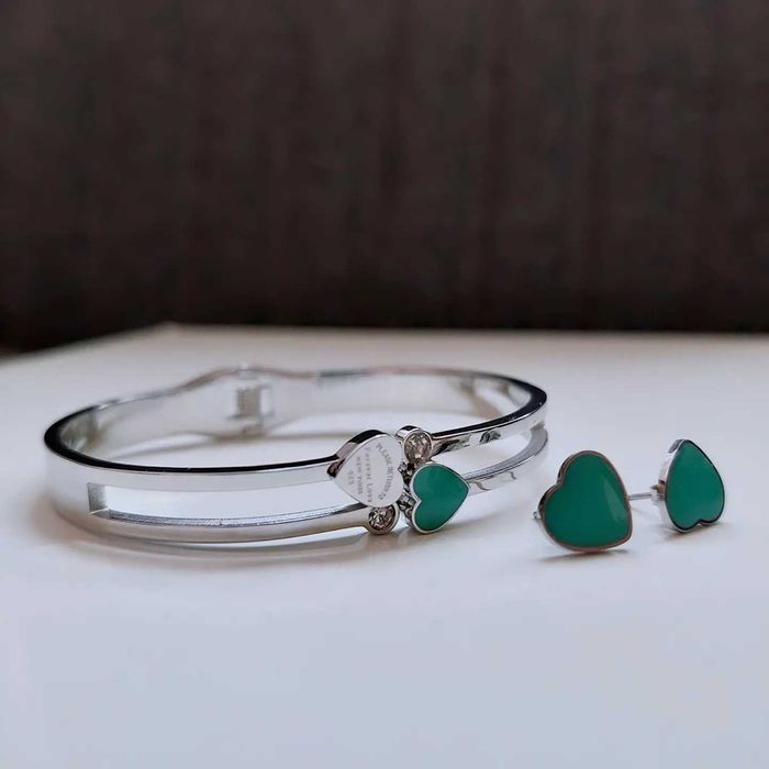 Титановый браслет, серьги