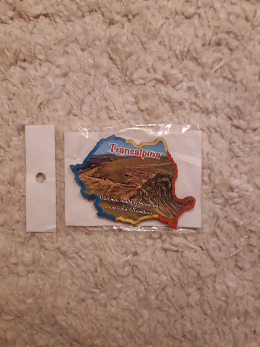 Magnet Transalpina