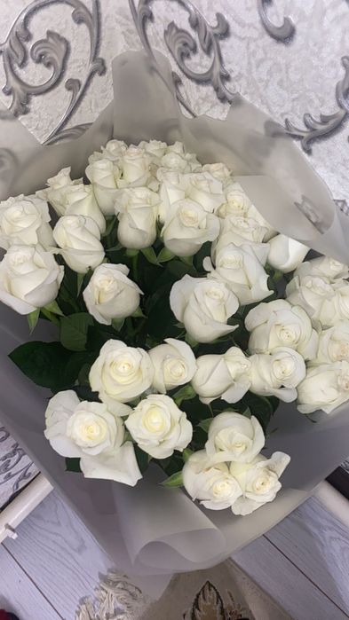 Ақ роза гүл арзан