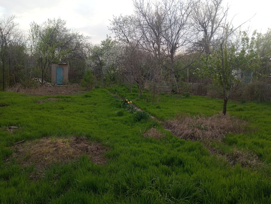 Аренда дача Кайнар булак