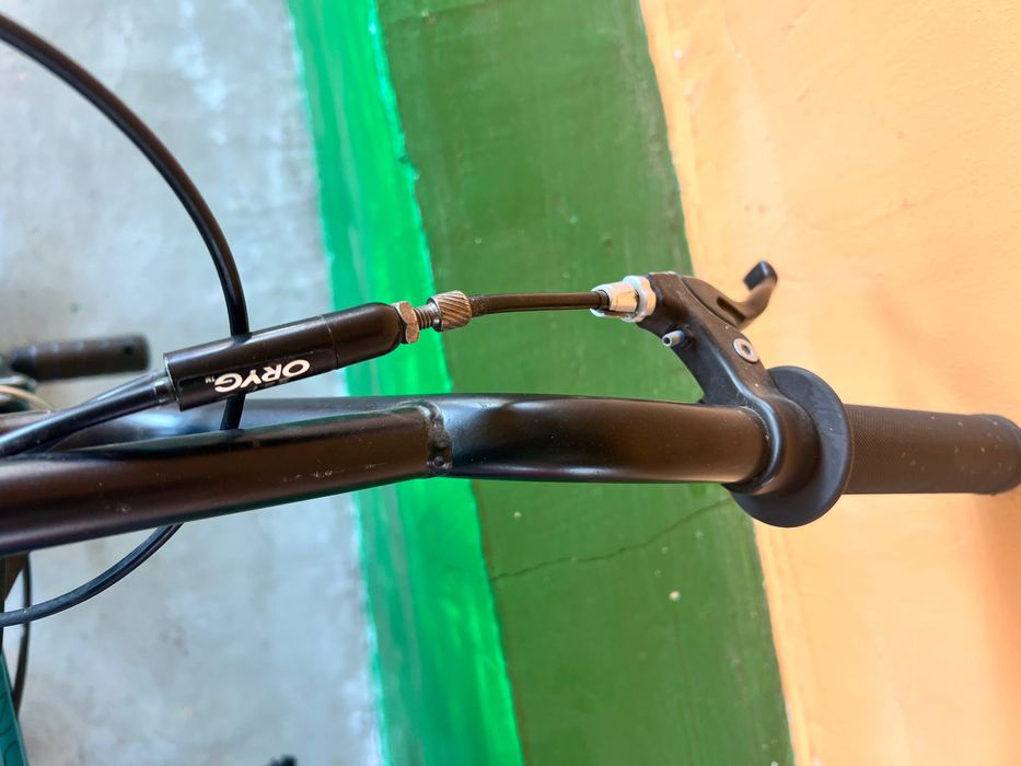 BMX FishBone P1000