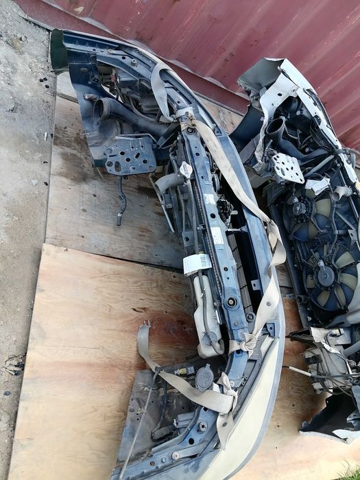 Передний морда ipsum