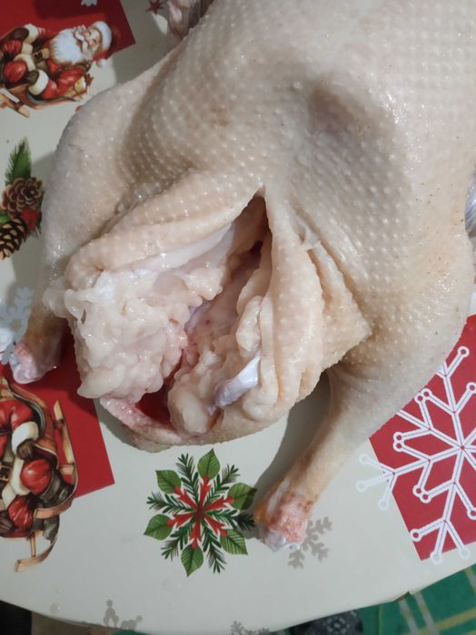 Домашние гуси выращенные на натуральном корме