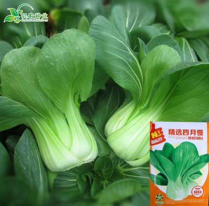 Urug‘ sotiladi. Xitoydan birinchi qo‘l