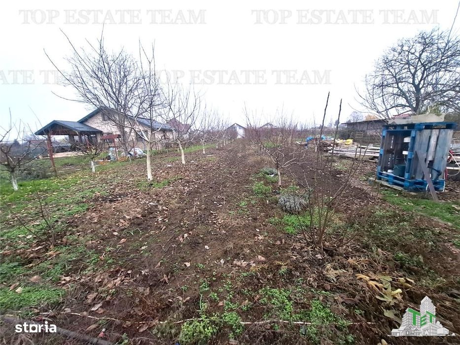 Teren Intravilan Moara Vlasiei 963 mp, Zona Superba,