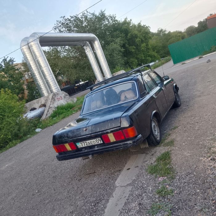 ГАЗ 31029 Волга 29