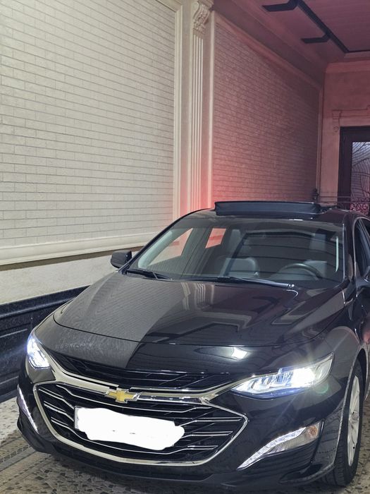 Malibu 2 premier 2022 kraska toza