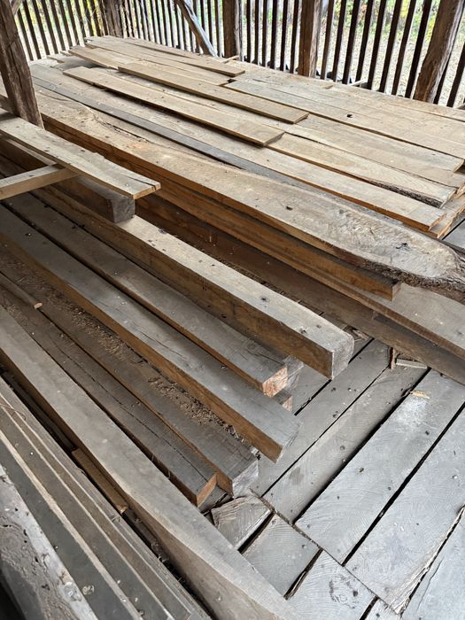 Cherestea stejar netivita