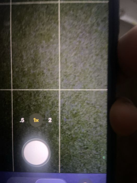 Iphone 16 черный цвет