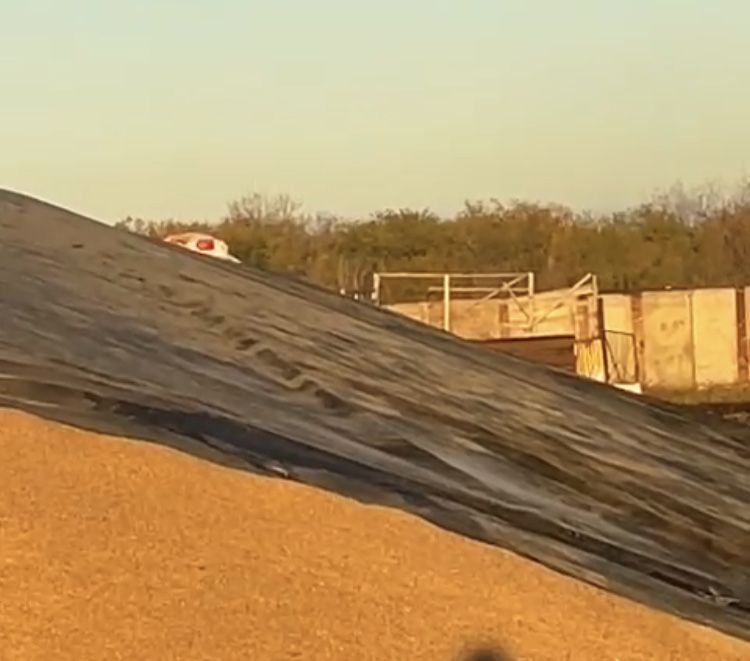 Полог, укрывное полотно